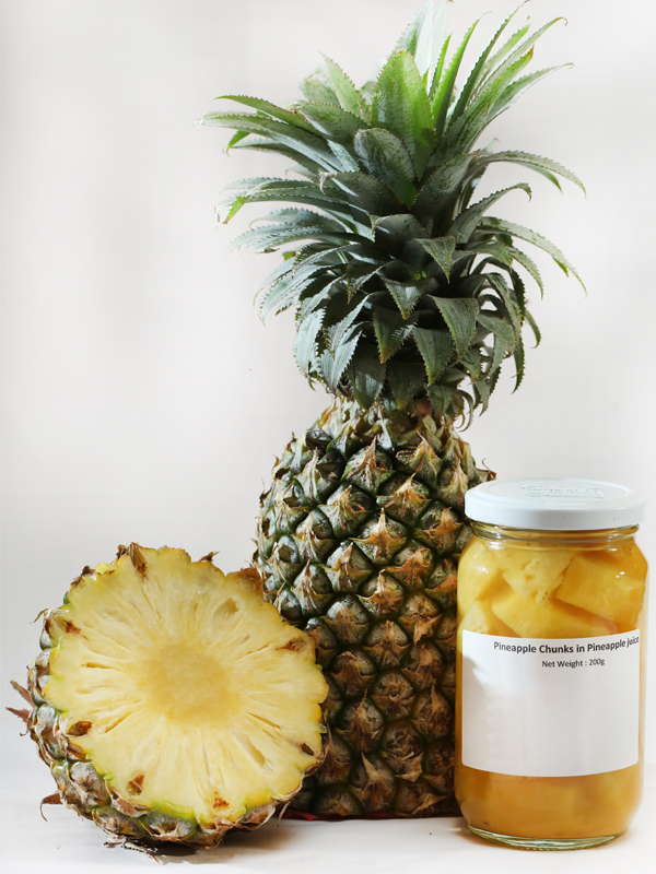 Lanka Exports - Fruits in Syrup - Pineapple Chunks in Pineapple Juice - Sri Lanka
