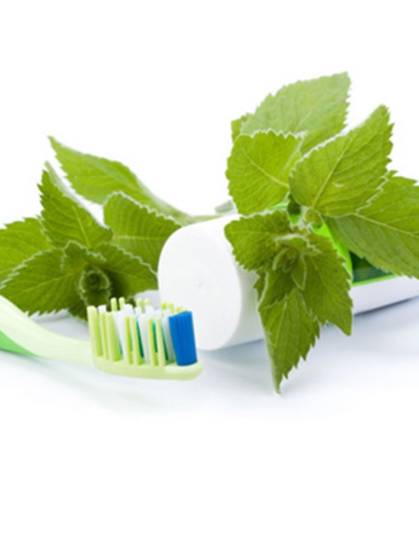 Herbal Healthcare Products - Toothpaste - Sri Lanka