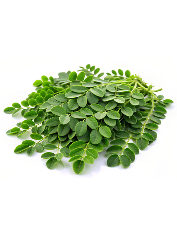 Moringa Leaves