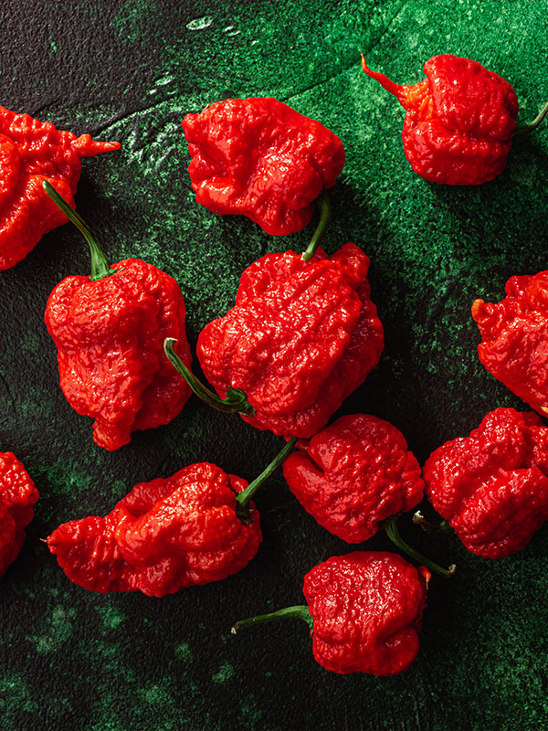 Scotch Bonnet