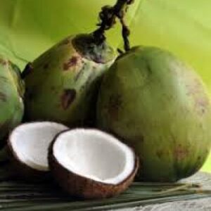 Whole Coconut