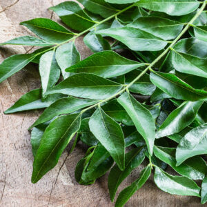 Dehydrated Curry Leaves