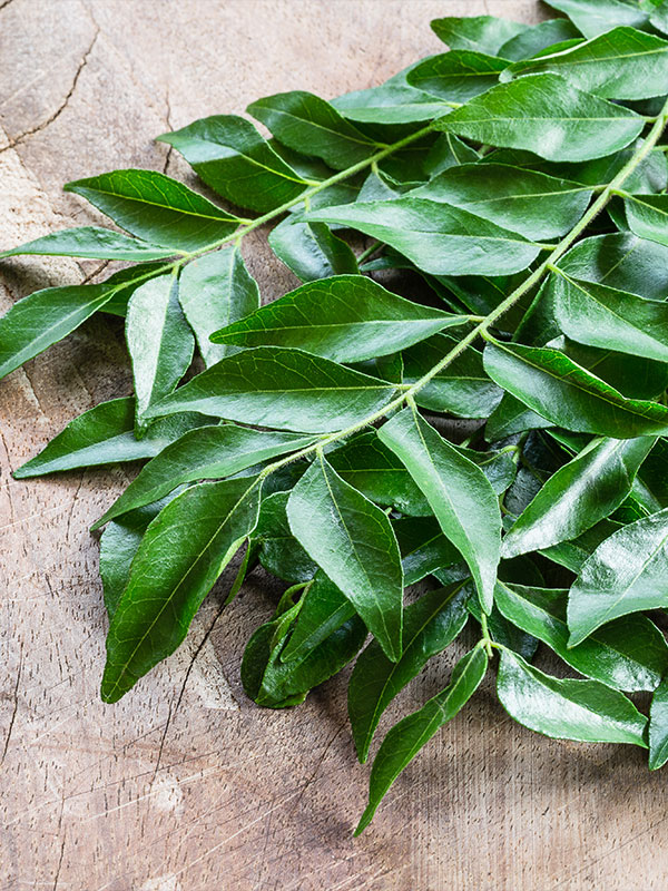 Dehydrated Curry Leaves