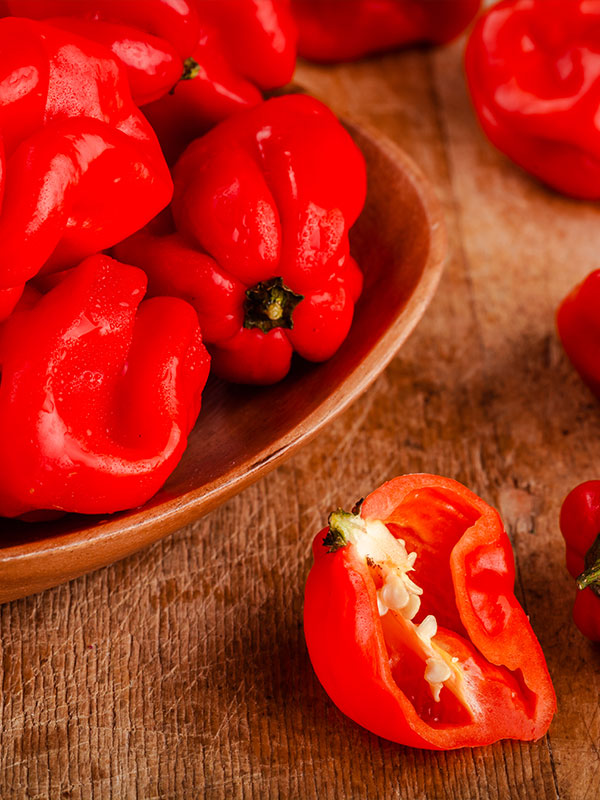 dhy-Scotch-Bonnet