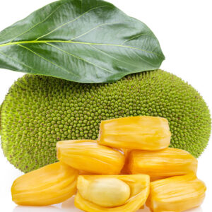 Dehydrated Jackfruit