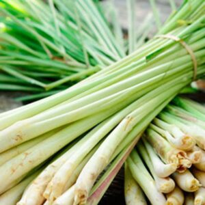Lemongrass