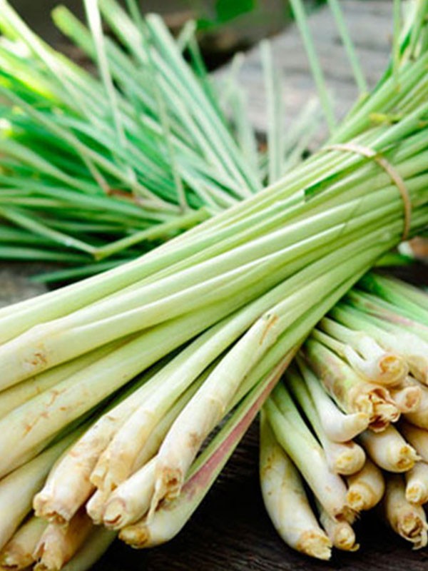Lemongrass
