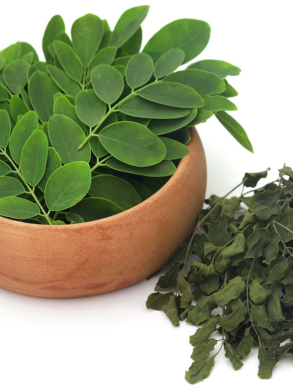 Dehydrated Moringa Leaves