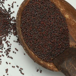 Mustard Seeds