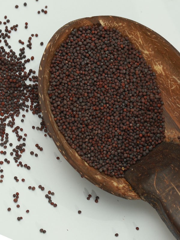 Mustard Seeds