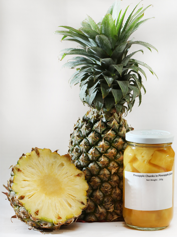 Pineapple Chunks in Pineapple Juice