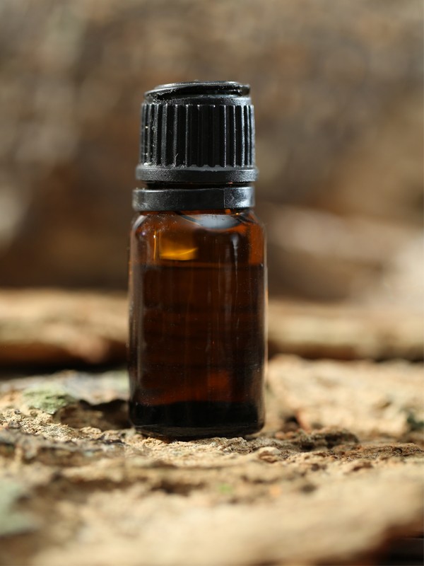 Sunflower Oil