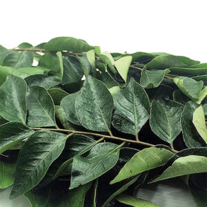 Curry Leaves