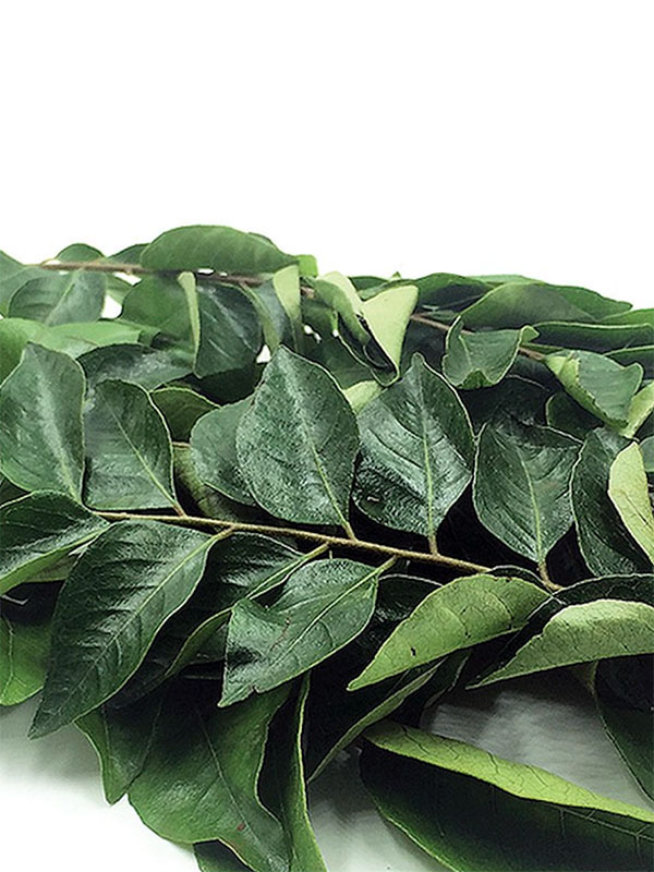 Curry-Leaves