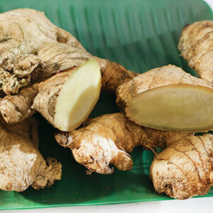 Ginger