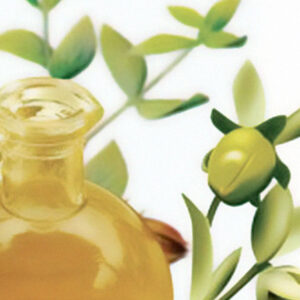 Jojoba Oil
