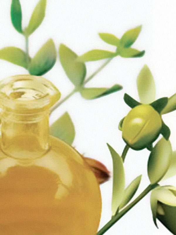 jojoba-oil
