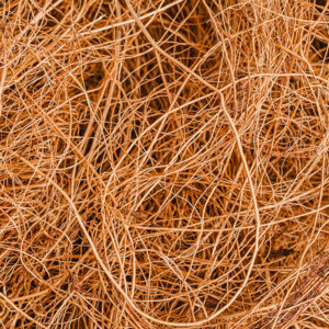 Coco Fibre