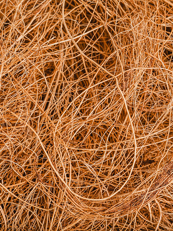 Coco-Fiber-