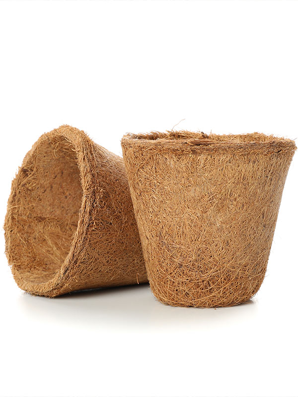 Coco-Pot